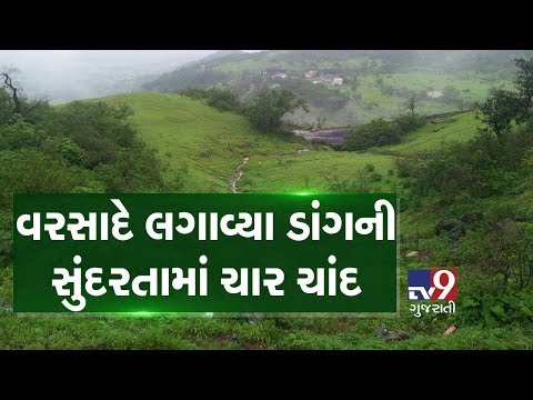 Rainfall adding glory to #Dang's natural beauty| Tv9GujaratiNews