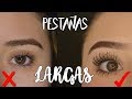 Tips para que tus pestañas se vean MÁS LARGAS y con VOLUMEN | DIANA LUCIA