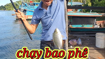 VUONG LT VLOG | hành trình câu cá biển phú quốc #3 | trúng bầy cá dìa giật đã tay