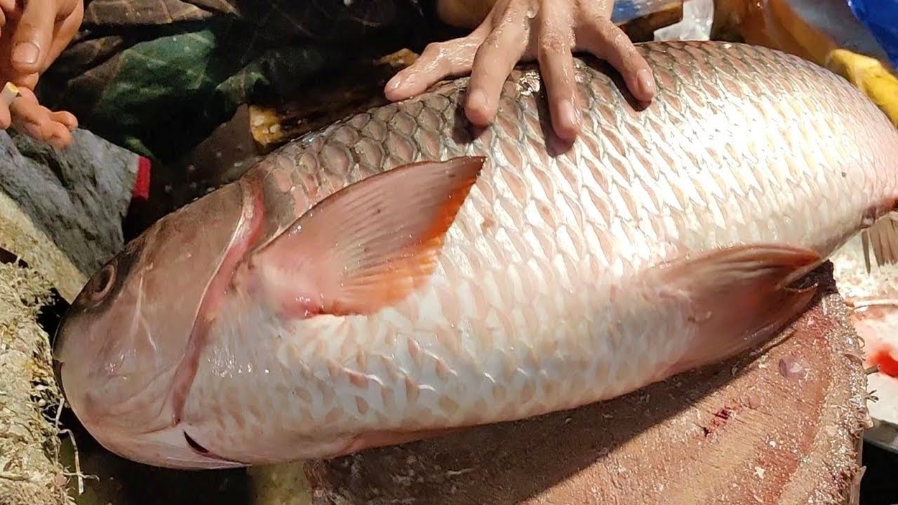 Fish Cutting Skills! Amazing Rohu Fish Cutting Skills In Bangladesh Big ...