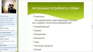 Откуда берутся асоциальные собаки Откуда берутся асоциальные собаки