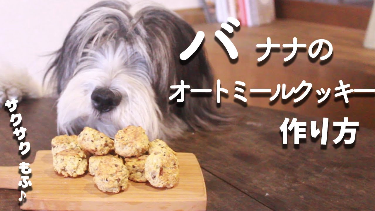 犬おやつ手作りレシピ バナナのオートミールクッキーの作り方 もふ飯 Youtube