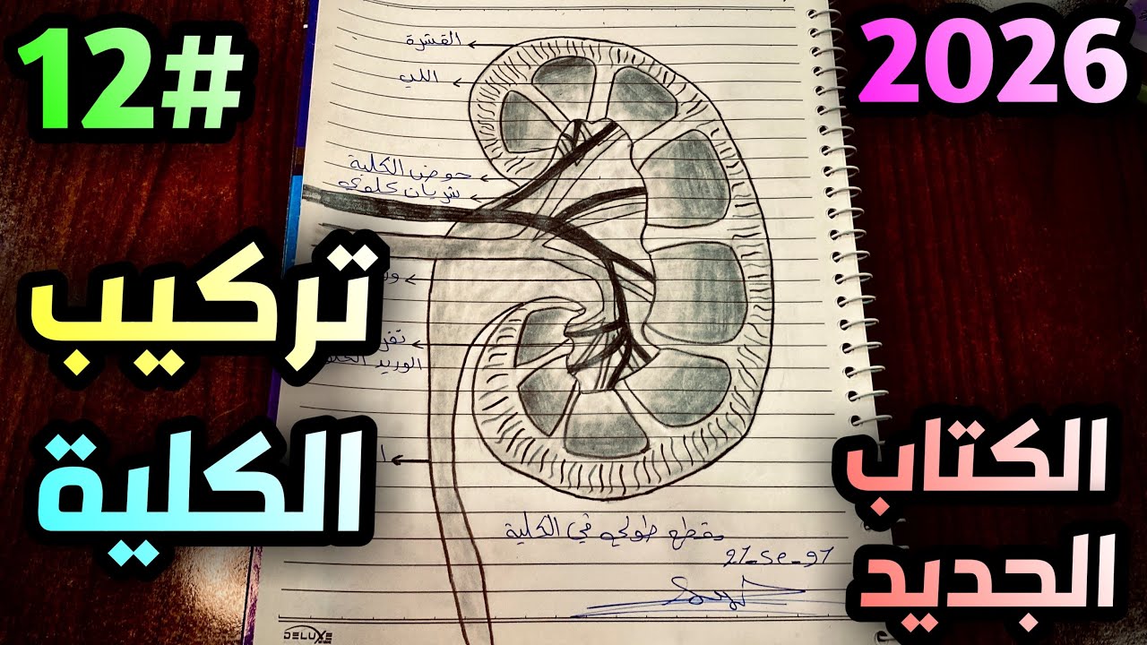 رسم الكلية للصف الثالث متوسط الفصل السابع صفحة 82 حسب 