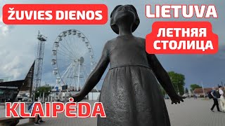 Новый праздник "РЫБНЫЕ ДНИ" "3 в одном" Klaipėda #klaipėda #литва #клайпеда