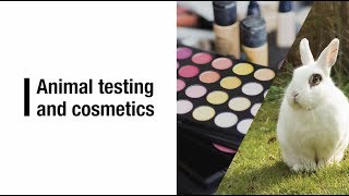 LUSH Cosmetics: We Believe in Testing On Humans