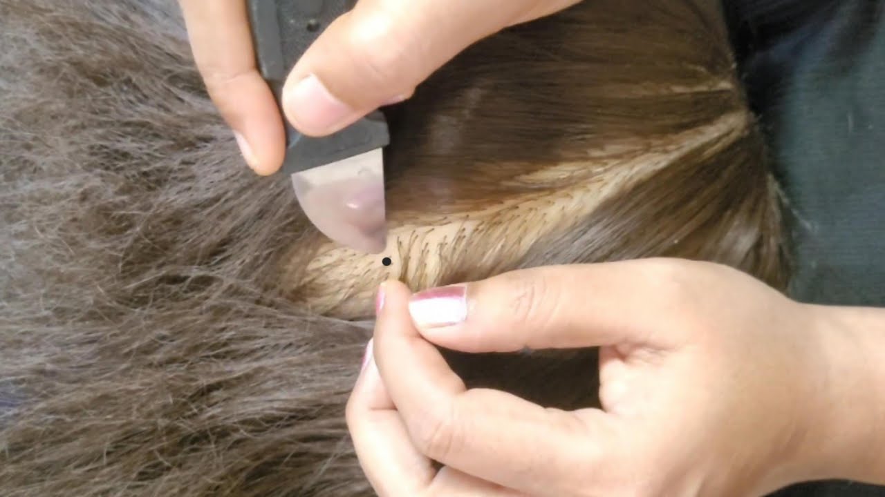 ASMR Scalp Check - Tingle Your Troubles Away✨🌿