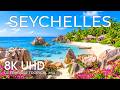 Seychelles 8K Drone Footage | Azure Archipelagos, Giant Tortoises &amp; Pristine Calm UHD