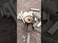 process of tools for splitting firewood #shorts
