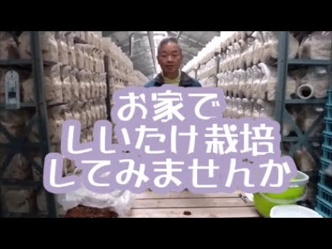 しいたけブロックの育て方