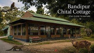 Bandipur Chital Cottage & Jungle Safari | Wildlife Encounters in the Forest