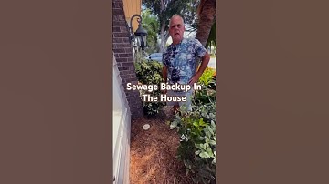 How to Prevent City Sewer Backup in Your Home: Essential Tips for Home Owners #SewerBackupPrevention