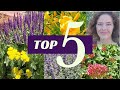 Top Five Easy Care Flowers for Your Garden (Great for Beginners!)