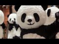 British Airways and VisitBritain - Chengdu Pandamonium