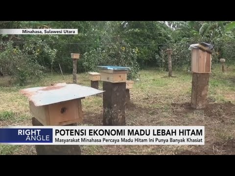 Video: Mengapa Madu Hitam Berguna?