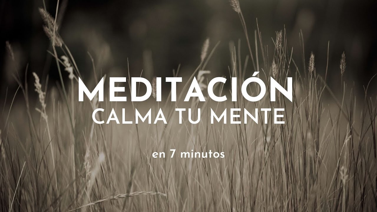 Meditación para calmar tu mente. Atención a la respiración en 7 minutos ...