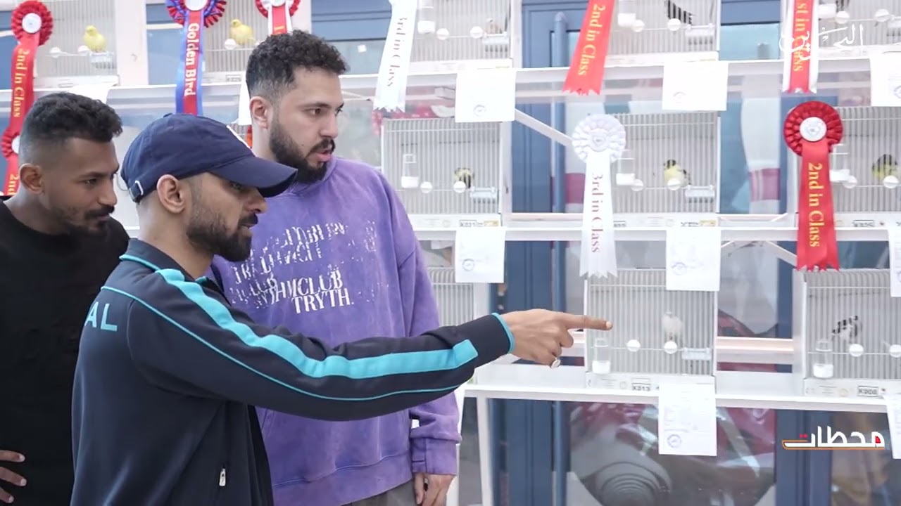 محطات | طيور الزينة