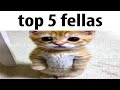 top 5 fellas