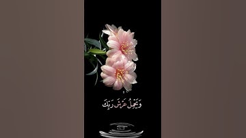 صباح الخير 🌸اجمل حالات واتس اب مقاطع قصيره 🌸 قران كريم سورة الحاقه والملك على أرجائها 🌸 بدون حقوق
