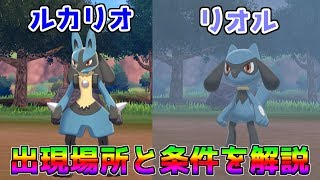 ポケモン剣盾 ルカリオ リオルの出現場所と出現条件を解説 これで100 ゲットだぜ Youtube