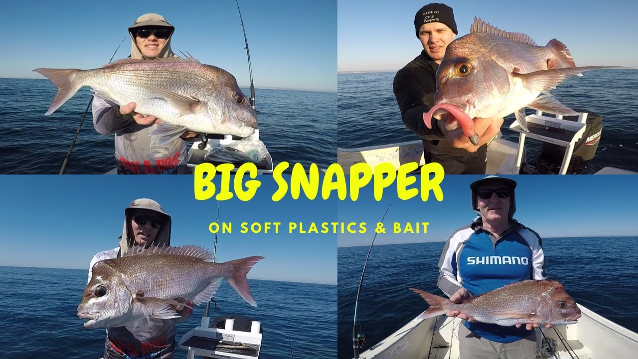 Floating down lightly weighted soft plastics & baits for big Snapper! 