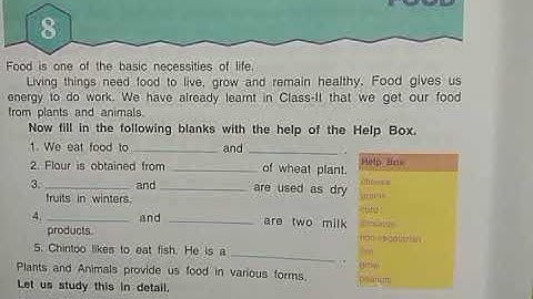 DAV Nahan Class-III Science Revision Lesson-8, Part-1