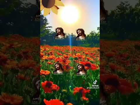 እንኳን አደረሳችሁ አብዝቶ ባርኮ እቺን ቀን እድናይ ስላደረገን ልሁል እግዚአብሔ ስለማይነገር ስጦታው እግዚአብሔር ይመስገን