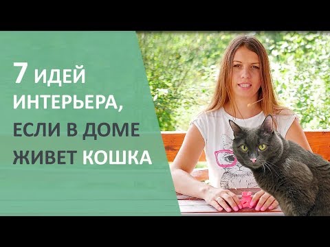 Видео: Как украсить стильный, подходящий для кошек дом отдыха