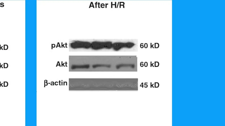 703000C28D368BDDF7052F7C5A22A6#1