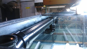 Diy PVC Aquarium Overflow Coast to Coast Bean Animal (Painted)