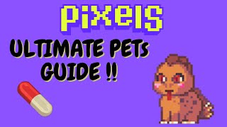 How to Hatch and Take Care of your Pet in Pixels Online !!