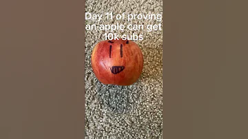 Day 11 Of Proving An Apple Can Get 10k Subs 