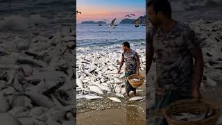 #AmazingNature #FishermenLife #SunsetLovers #LifeByTheSea"