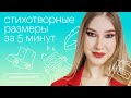 Стихотворные размеры за 5 минут | Литература ОГЭ с Елизаветой Комиссаровой