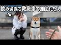 大好きなお散歩が不安すぎる柴犬こまちゃん….【お散歩体験7人目】