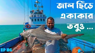 পানির নিচে জাল ছিঁড়ে একাকার | সুন্দরবনের সাগরের গল্প | epi 6 । 4k