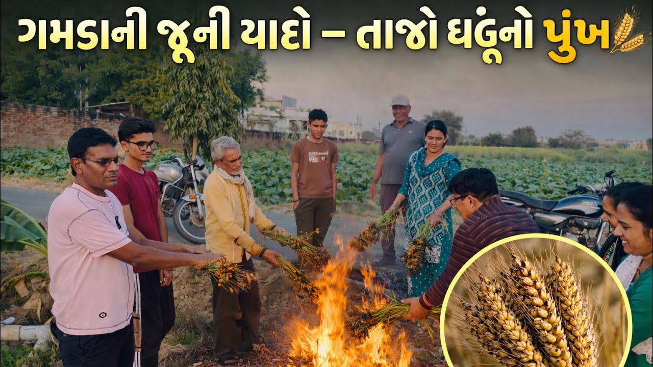 ગામડાની જૂની યાદો – ખેતરમાં બનાવ્યો તાજો ઘઉંનો પુંખ 🌾