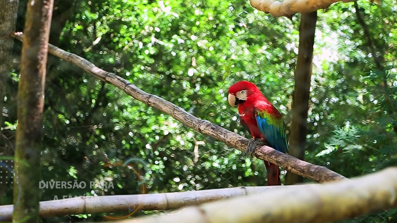 Eco Parque - Itá Eco Turismo