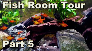 Rare Tetras! Prime Time Aquatics Fish Room Tour 2022 Part 5