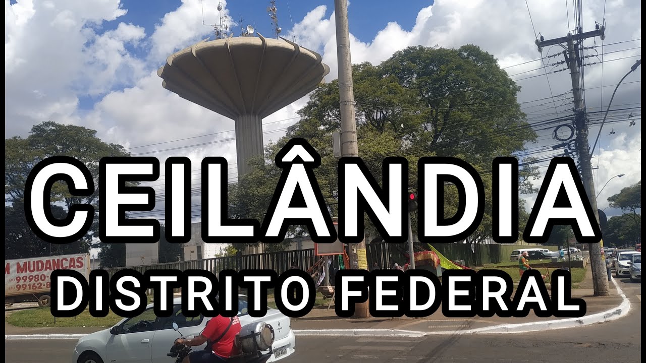 Gatas da capital ceilândia