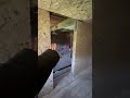Мы на финишной прямой к покупке кур