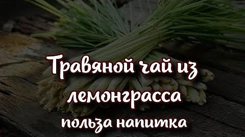 Травяной чай из лемонграсса - неоспоримая польза напитка