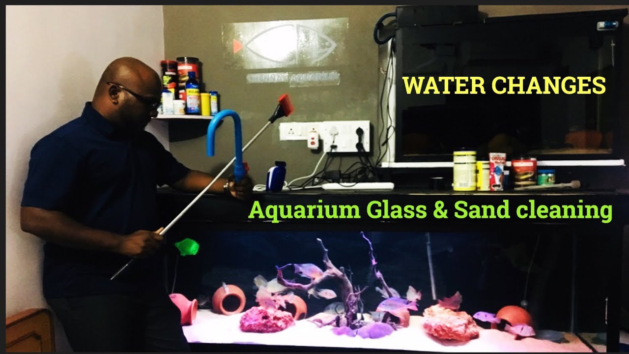 Fish tank cleaning process Water change Glass & Sand Cleaning
