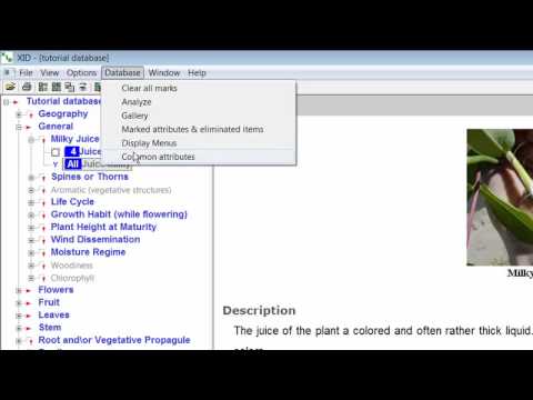 Weed Identification Module 11 - Common Attributes