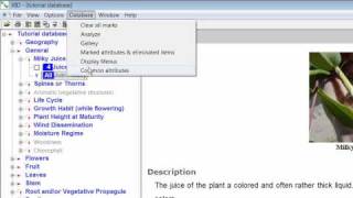 Weed Identification Module 11 - Common Attributes screenshot 5