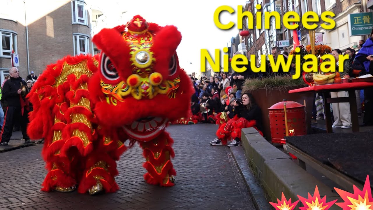 Chinees nieuwjaar💥denhaag 2025💥Jaar van de slang💥Draken feest💥