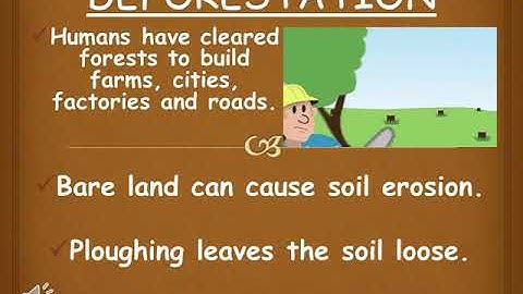 CBSE: GRADE 5 SOIL EROSION & SOIL CONSERVATION