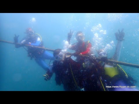 2024/09/14かっちゃま レアもの、イッポンテグリ登場! 初めてのタコ根は南西風が吹き荒れても大丈夫。 群馬県伊勢崎市のダイビングショップ