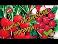 Редиска бизнеси сирлари.