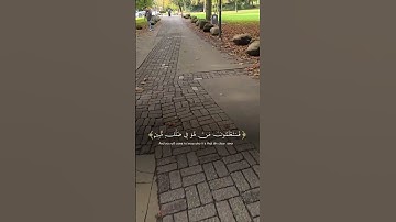 تلاوة عطرة لآيات من كتاب الله #القرآن_الكريم #القرآن #المصحف #اكسبلور #foryou #راحة_نفسية #fyp