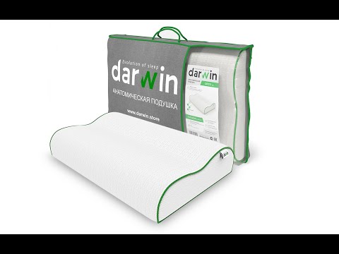 Anatomic Pillow Darwin Orto 1.0 Anatomic Pillow Darwin Orto 1.0